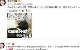 17173爆料怎么进入 明星娱乐八卦头条,如何轻松进入明星娱乐八卦头条，17173爆料独家攻略